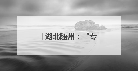 湖北随州：“专用汽车走廊”掀起产业新变革