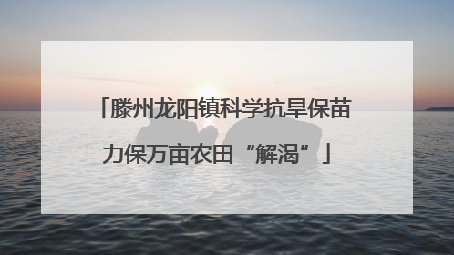 滕州龙阳镇科学抗旱保苗 力保万亩农田“解渴”
