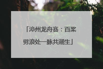 漳州龙舟赛：百桨劈浪处一脉共潮生