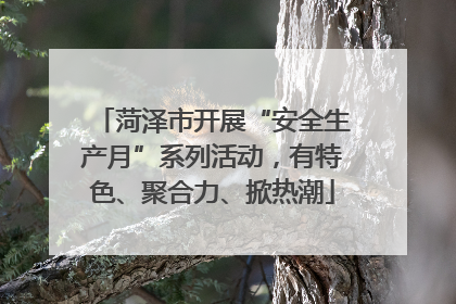 菏泽市开展“安全生产月”系列活动，有特色、聚合力、掀热潮