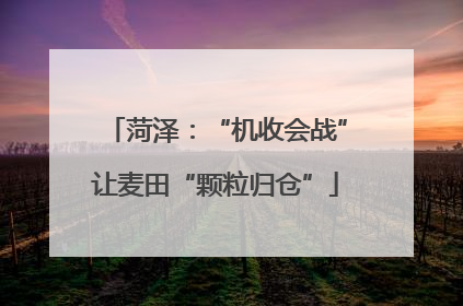 菏泽：“机收会战”让麦田“颗粒归仓”