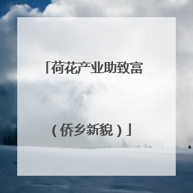 荷花产业助致富（侨乡新貌）