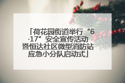 荷花园街道举行“6·17”安全宣传活动暨恒达社区微型消防站应急小分队启动式