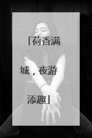 荷香满城，夜游添趣