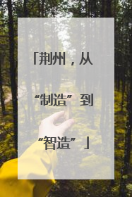 荆州，从“制造”到“智造”