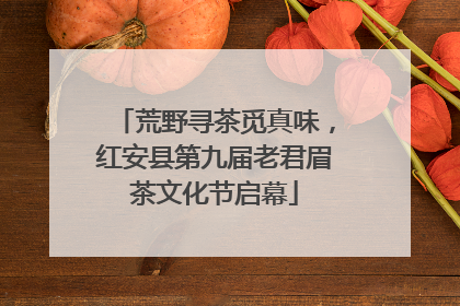 荒野寻茶觅真味，红安县第九届老君眉茶文化节启幕