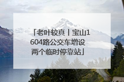 老叶较真丨宝山1604路公交车增设两个临时停靠站