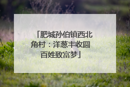 肥城孙伯镇西北角村：洋葱丰收圆百姓致富梦