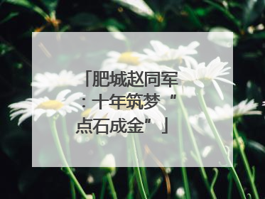 肥城赵同军：十年筑梦“点石成金”