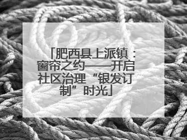 肥西县上派镇：窗帘之约——开启社区治理“银发订制”时光