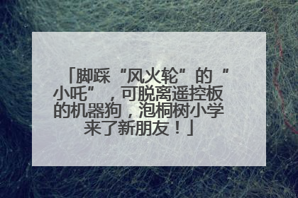脚踩“风火轮”的“小吒”，可脱离遥控板的机器狗，泡桐树小学来了新朋友！
