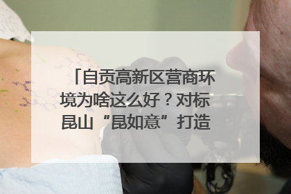 自贡高新区营商环境为啥这么好？对标昆山“昆如意”打造自贡“高兴办”｜美好生活有“盐”味