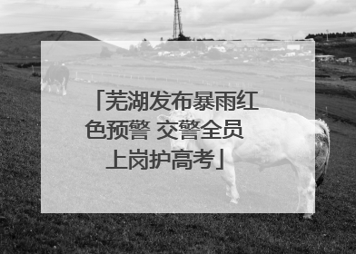芜湖发布暴雨红色预警 交警全员上岗护高考