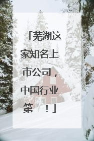 芜湖这家知名上市公司，中国行业第一！