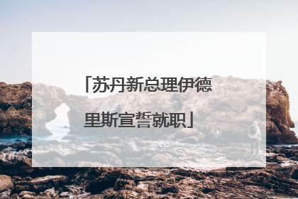 苏丹新总理伊德里斯宣誓就职