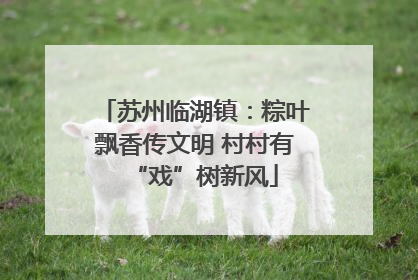 苏州临湖镇：粽叶飘香传文明 村村有“戏”树新风