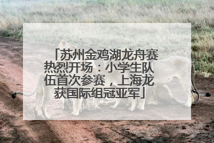 苏州金鸡湖龙舟赛热烈开场：小学生队伍首次参赛，上海龙获国际组冠亚军