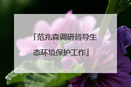 范兆森调研督导生态环境保护工作