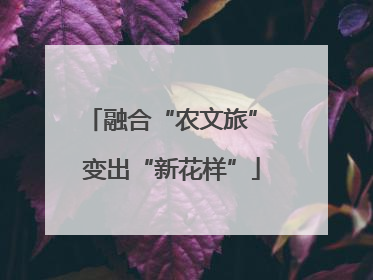 融合“农文旅” 变出“新花样”