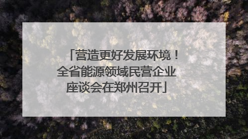 营造更好发展环境！全省能源领域民营企业座谈会在郑州召开