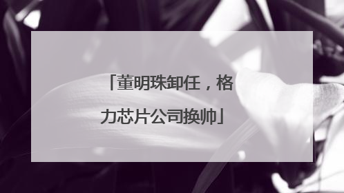 董明珠卸任，格力芯片公司换帅