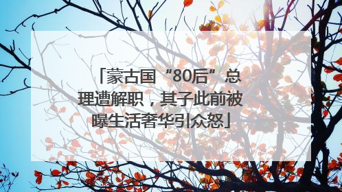 蒙古国“80后”总理遭解职，其子此前被曝生活奢华引众怒