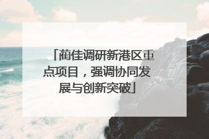 蔺佳调研新港区重点项目，强调协同发展与创新突破