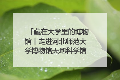 藏在大学里的博物馆｜走进河北师范大学博物馆天地科学馆：在校园里赴一场“宇宙之约”