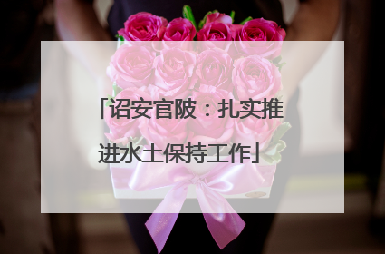 诏安官陂：扎实推进水土保持工作