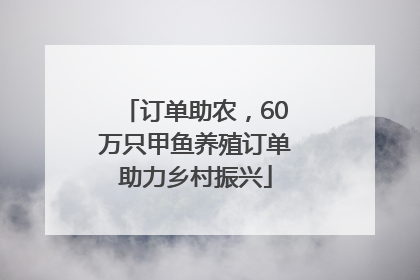 订单助农，60万只甲鱼养殖订单助力乡村振兴