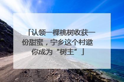 认领一棵桃树收获一份甜蜜，宁乡这个村邀你成为“树主”