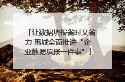 让数据填报省时又省力 禹城全面推进“企业数据填报一件事”