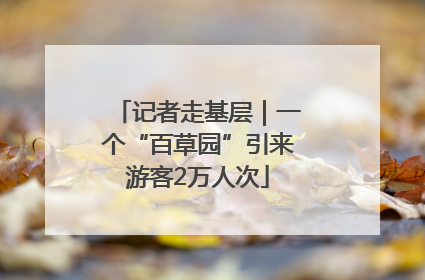 记者走基层｜一个“百草园”引来游客2万人次