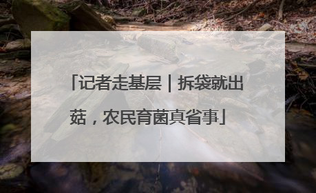 记者走基层｜拆袋就出菇，农民育菌真省事
