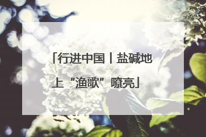 行进中国丨盐碱地上“渔歌”嘹亮