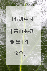 行进中国｜青山蓄动能 黑土生金仓