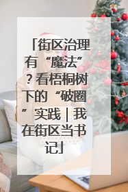 街区治理有“魔法”？看梧桐树下的“破圈”实践｜我在街区当书记