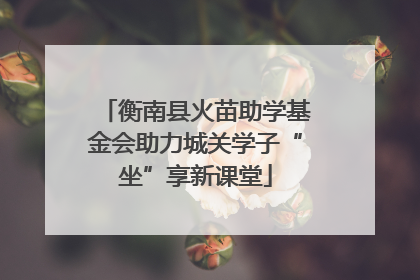 衡南县火苗助学基金会助力城关学子“坐”享新课堂