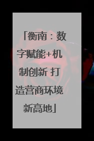 衡南：数字赋能+机制创新 打造营商环境新高地