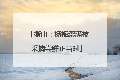 衡山：杨梅缀满枝 采摘尝鲜正当时