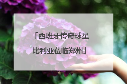 西班牙传奇球星 比利亚莅临郑州