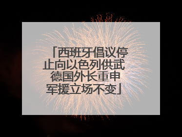 西班牙倡议停止向以色列供武 德国外长重申军援立场不变