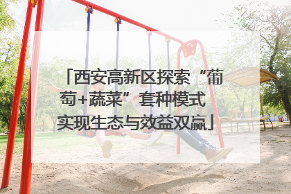 西安高新区探索“葡萄+蔬菜”套种模式 实现生态与效益双赢