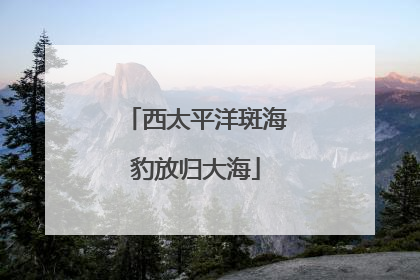 西太平洋斑海豹放归大海