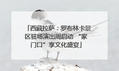 西藏拉萨：罗布林卡景区驻场演出周启动 “家门口”享文化盛宴