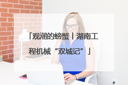 观潮的螃蟹丨湖南工程机械“双城记”