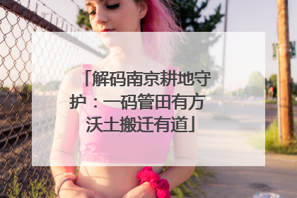 解码南京耕地守护：一码管田有方 沃土搬迁有道