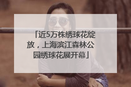近5万株绣球花绽放，上海滨江森林公园绣球花展开幕
