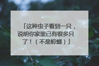 这种虫子看到一只，说明你家里已有很多只了！（不是蟑螂）