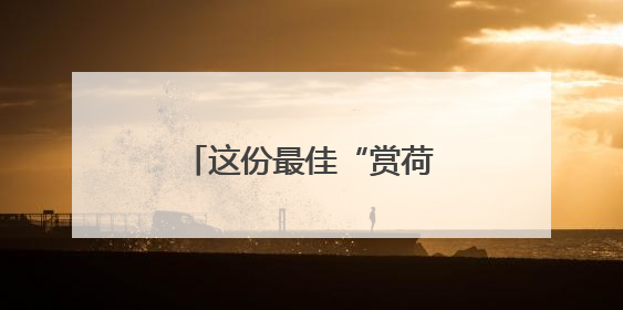 这份最佳“赏荷图”，请收好！
